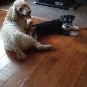 Meet your Posher, Michele